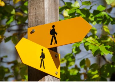 Looking Backward to Move Forward