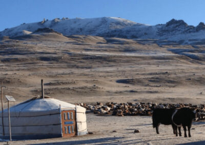The Center for the Study of Global Christianity Assess Access to the Gospel in Mongolia