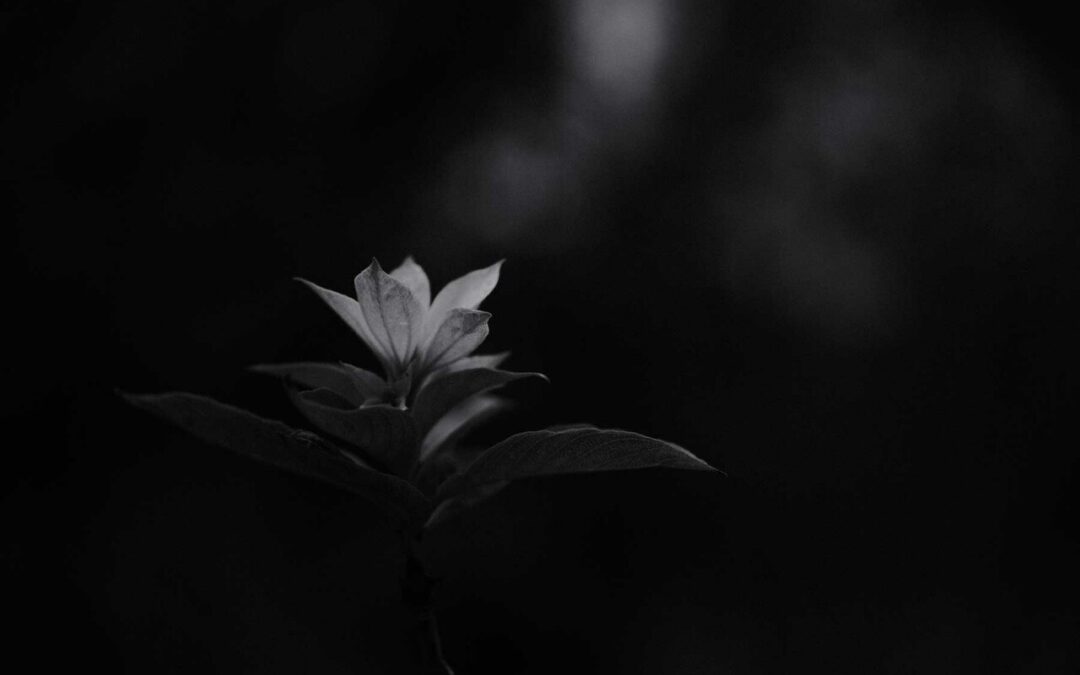 Ash Wednesday as Church Reset