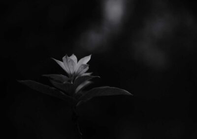 Ash Wednesday as Church Reset