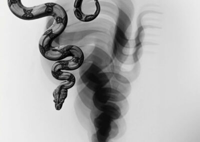 Ex Fonte Excerpt: Satan in the Shadows – A Conversation with Philip Ziegler