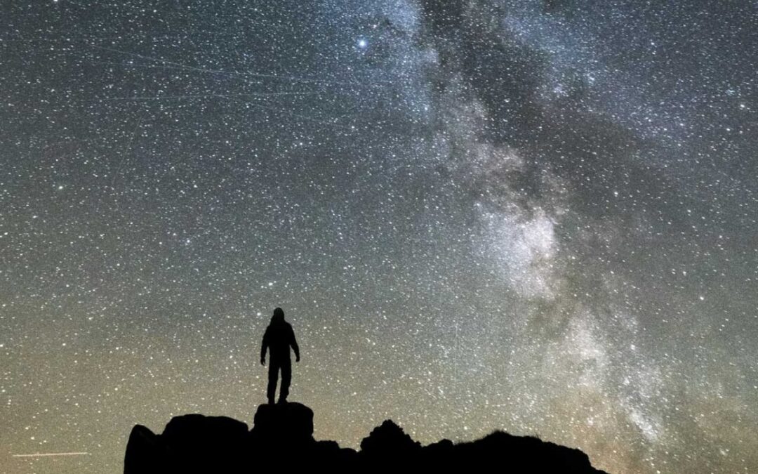Ex Fonte Excerpt: Just Look Up—and Beyond